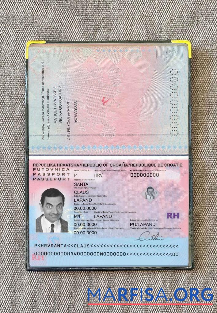 Blank Croatia passport photo look sample